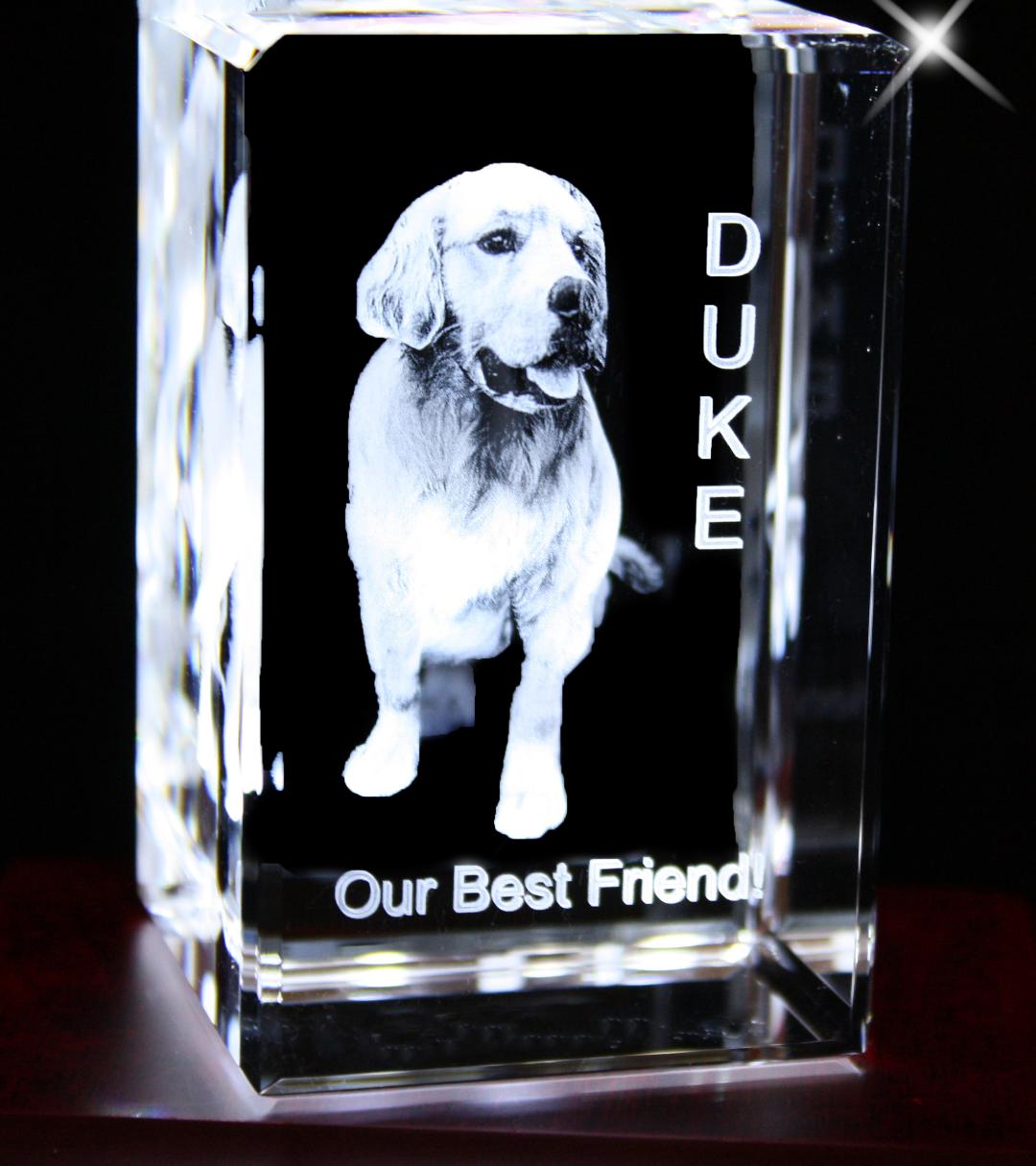 YOUR PET OR ANY PRECIOUS MEMORY IN 3D INSIDE A SMALL RECTANGULAR CRYSTAL (Portrait 2"x3"x2")
