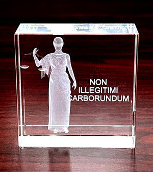 Non Illegitimi Carborundum 3x3 Crystal