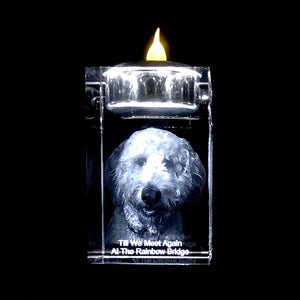 YOUR PET IN 3D INSIDE A SMALL CRYSTAL- CANDLE HOLDER