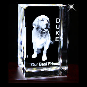 LARGE RECTANGULAR CRYSTAL  WITH 3D IMAGE- (PORTRAIT 3"X5"X3")